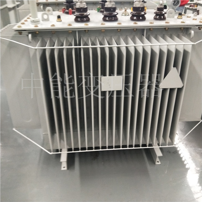 滨州S20-800KVA变压器